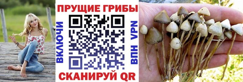 Галлюциногенные грибы GOLDEN TEACHER  Хадыженск 